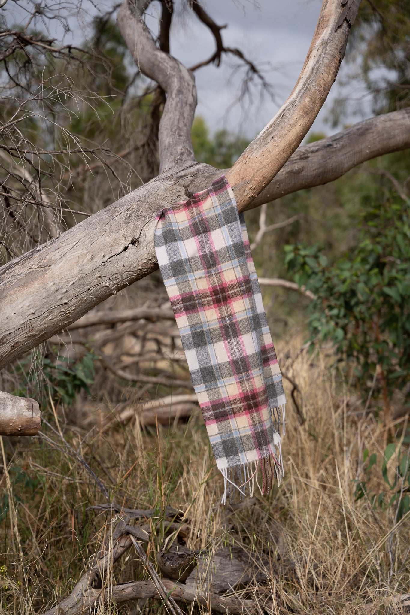 Australia Made Merino Wool Scarf | Tartan Scarf  - Rice Pink Thompson Scarf